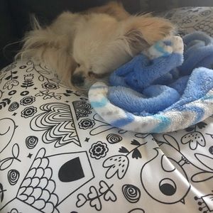 Meet your Posher, Mandy